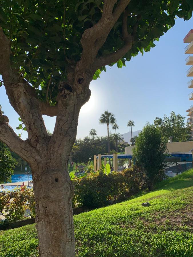 Minerva Apartment Benalmadena Ngoại thất bức ảnh